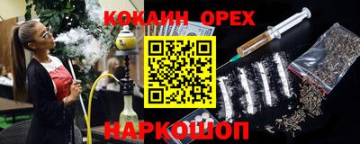 молекула духа Новозыбков